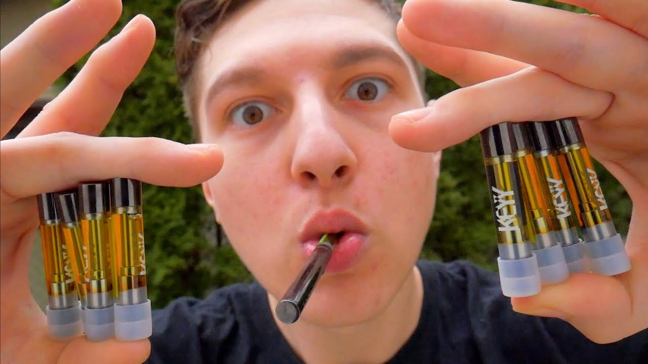 10 CARTRIDGES IN 24 HOURS