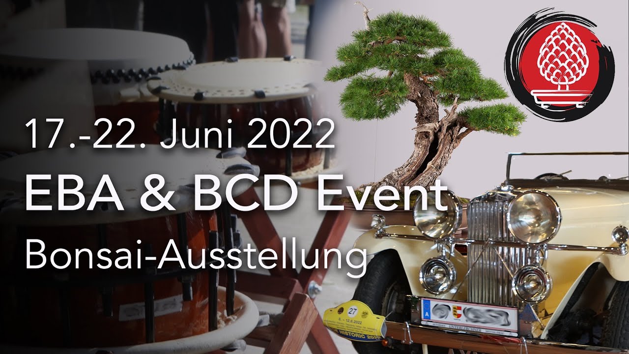 EBA und BCD Ausstellung 2022. Großartiger Bonsai-Event mit über 200 Exponaten in Augsburg.