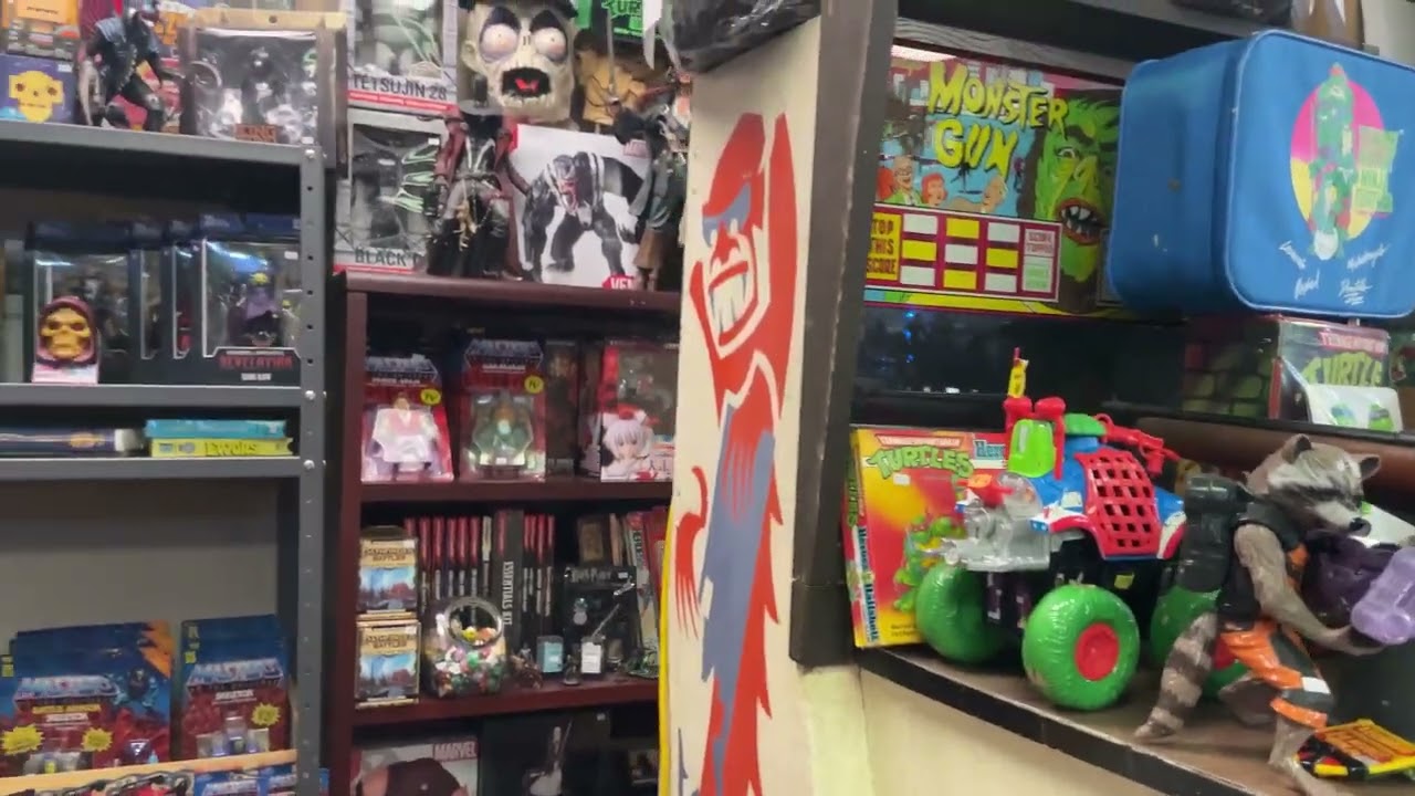 Visiting Treehouse collectibles for some cool toys and comics.