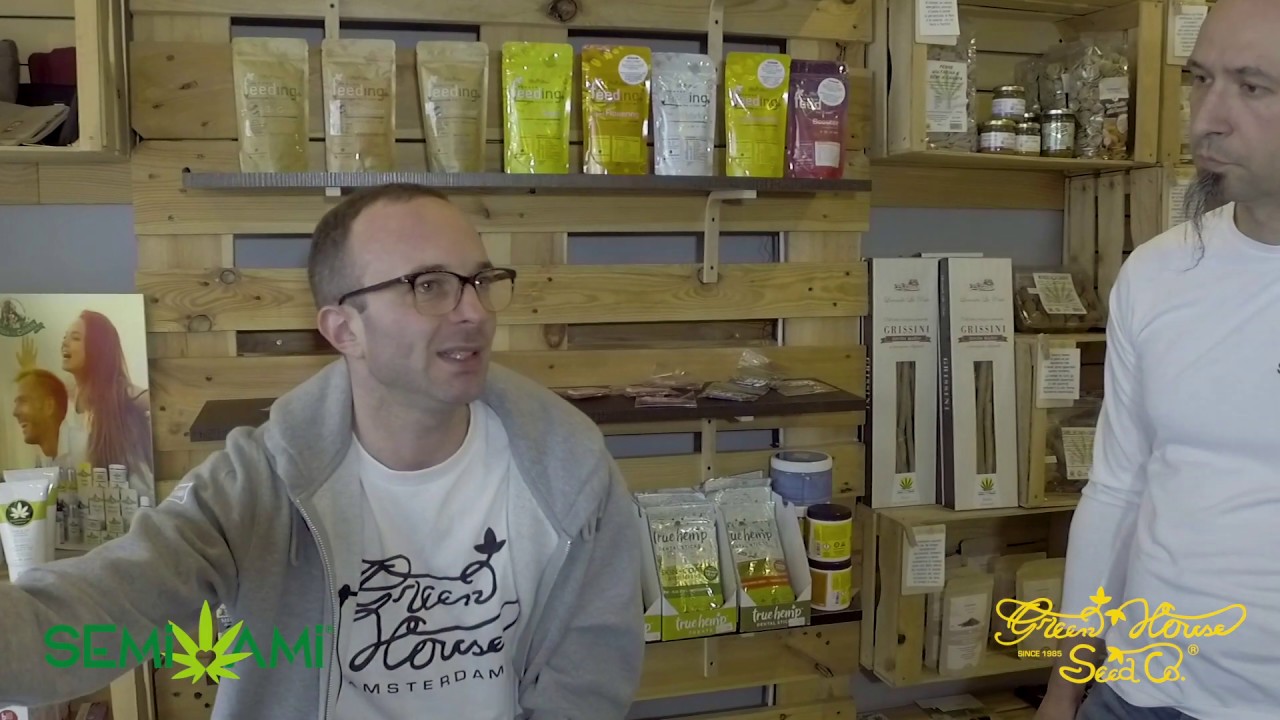 Semi Ami e Green House Seed Co.
