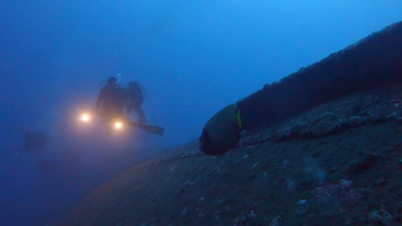 Plong&eacute;e sur le Sea Venture Baie de St Paul  de la R&eacute;union
