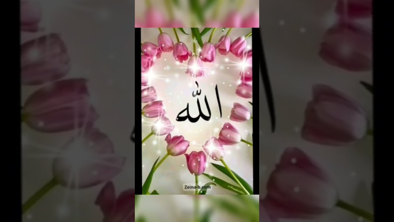 Allah name|#youtubeshorts #islamic #video #viral ||Hifzi Islamic Studio||