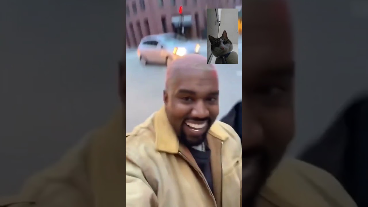 Momo Facetime 2 (Feat. Kenya) #cats #fypシ゚viral #cuteanimals #funny