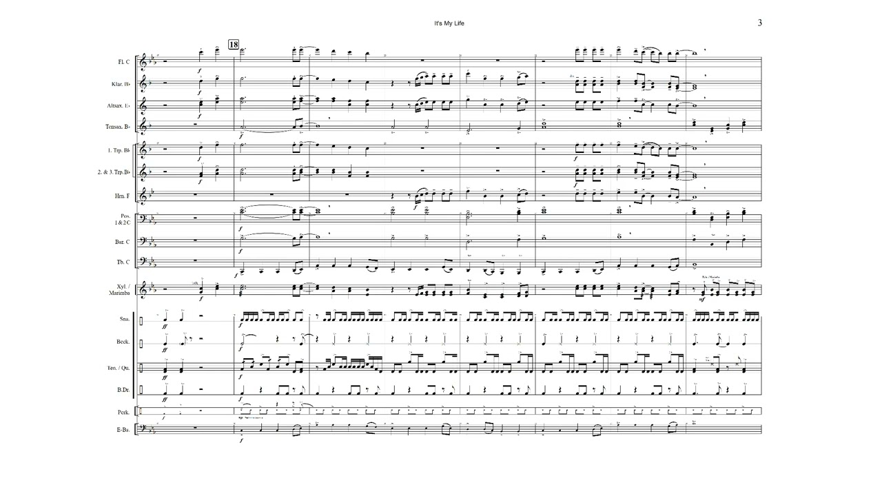 IT'S MY LIFE | für Marching Band | Bon Jovi