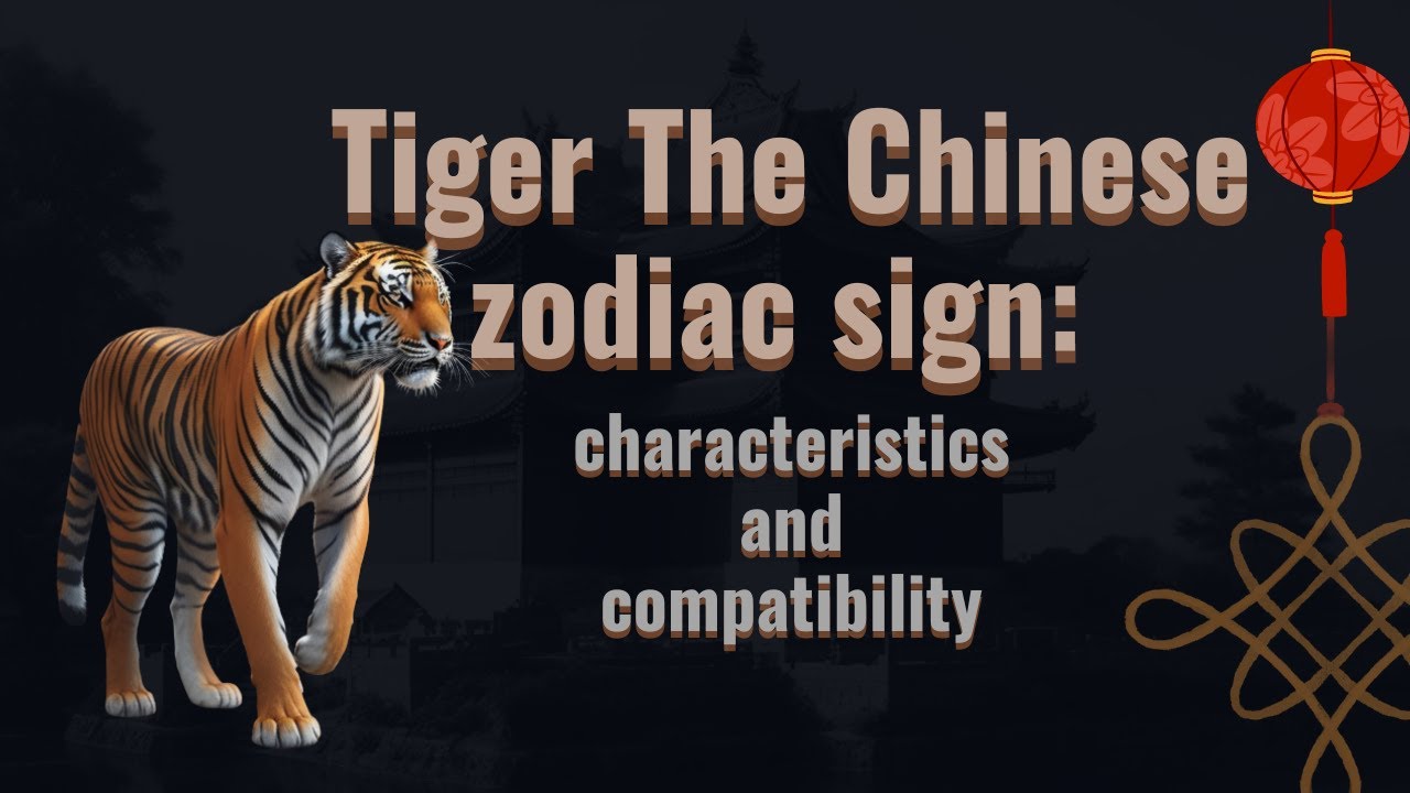tiger 🐯 the chinese zodiac sign🪧🌒: characteristics and compatibility