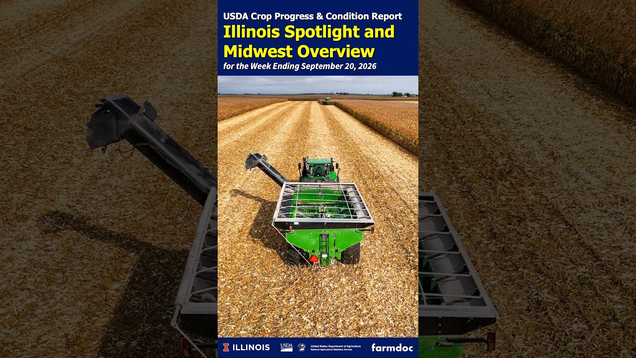 Illinois and Midwest Crop Progress and Condition Update | Sept 20, 2026