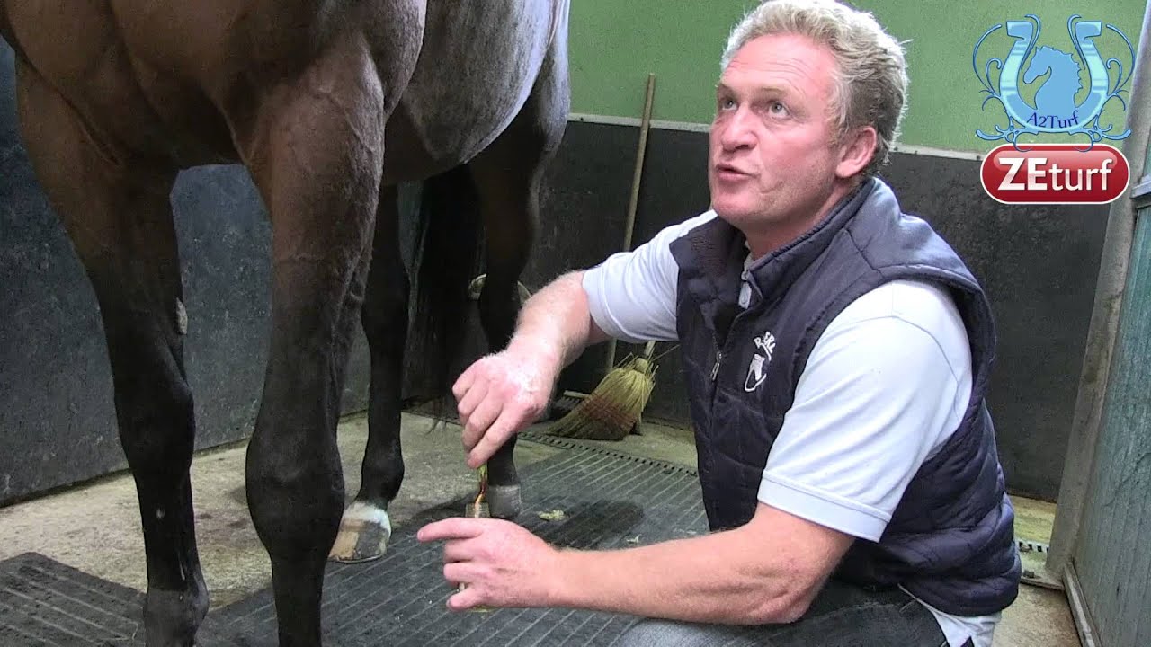 A la découverte du Haras de Sassy avec J.Y. LHERETE (Part1) - A2TURF.COM