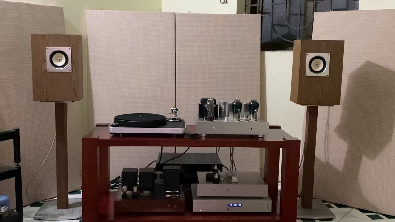 Fostex FE103A & 300B DIY test Synphony
