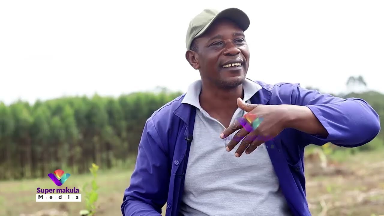 Part2:Okulima emiti ku acre ezisoba mu 100,ebisagazi,okulunda ente,Emboozi ya Kakiika akulira Vienna