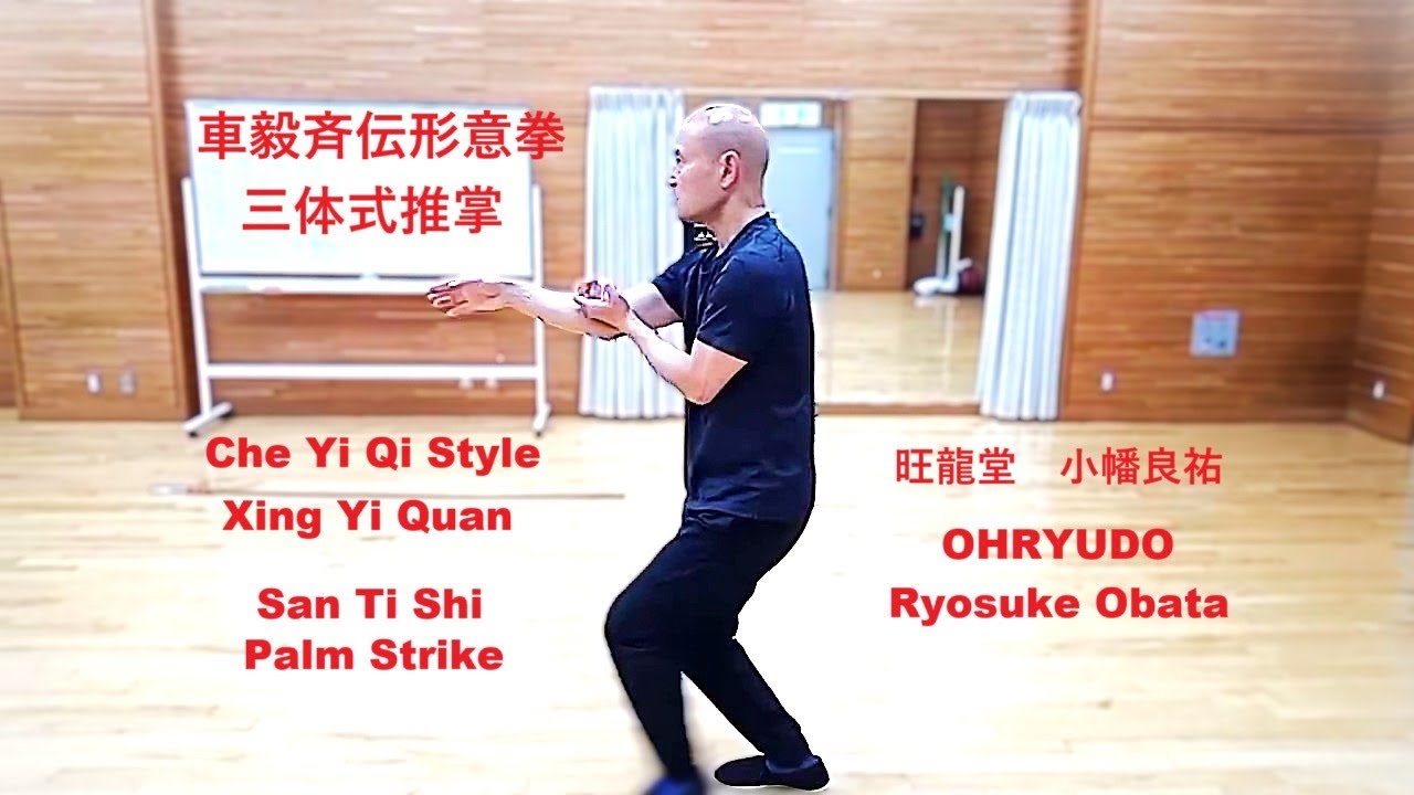 伝統武術 車毅斉伝 形意拳の三体式站樁功・三体式推掌Traditional Martial Art Xing-Yi- Quan “San-Ti-Shi Palm Strike”