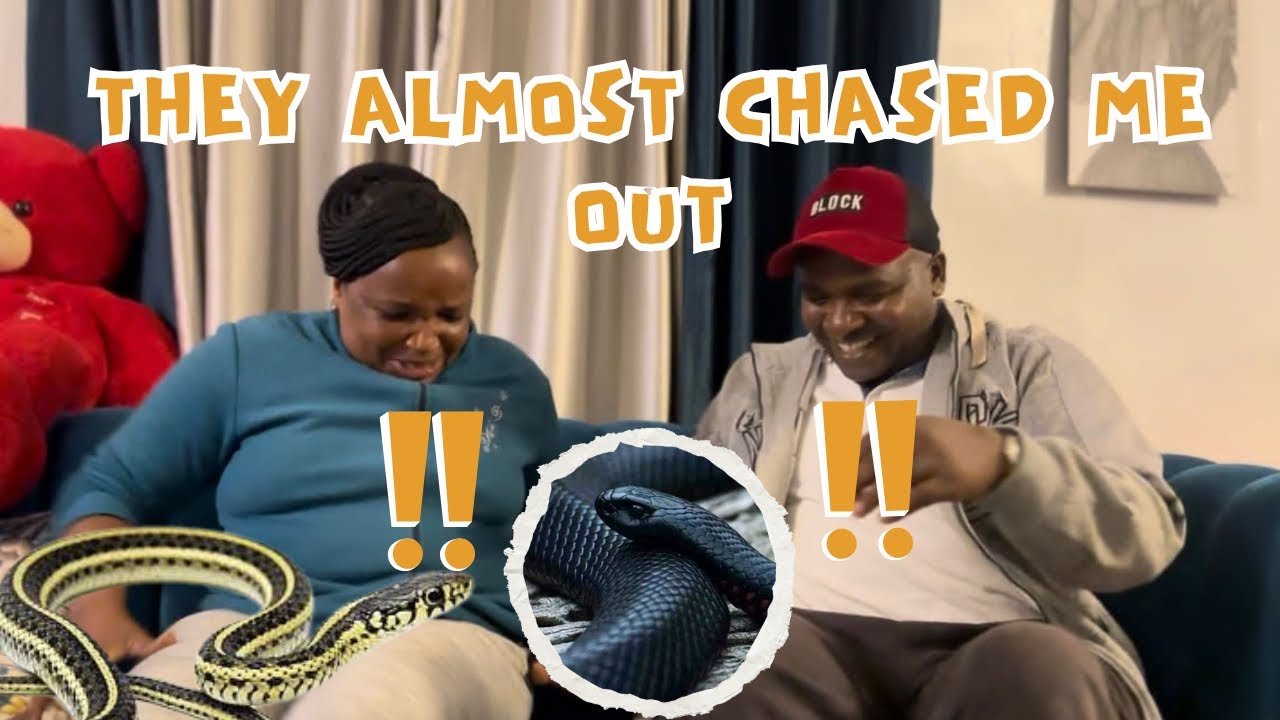 SNAKE PRANK  ON MY PARENTS 🐍😂|| SECOND GIFT SHOCK THEM👋