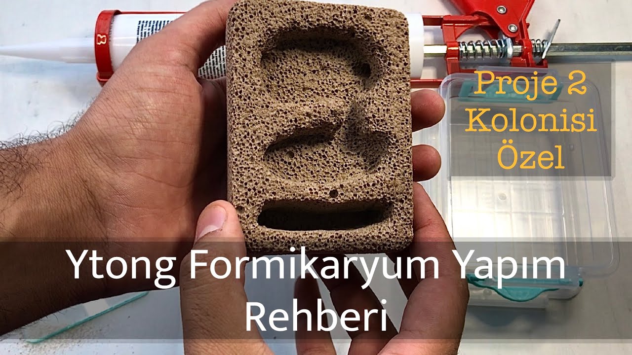 Proje 2 Kolonisine Ytong Formikaryum Yapıyoruz | Ytong Formikaryum Yapım Rehberi