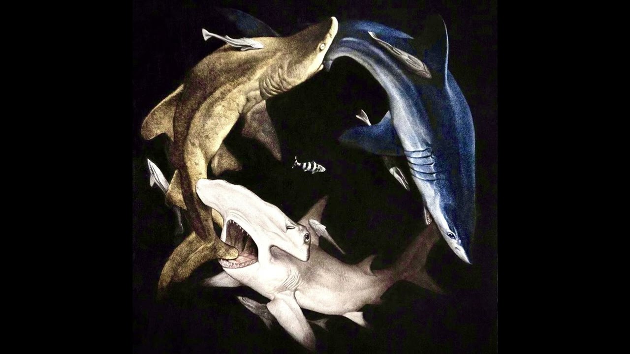 KHALI X LAYLOW X JOLAGREEN TYPE BEAT