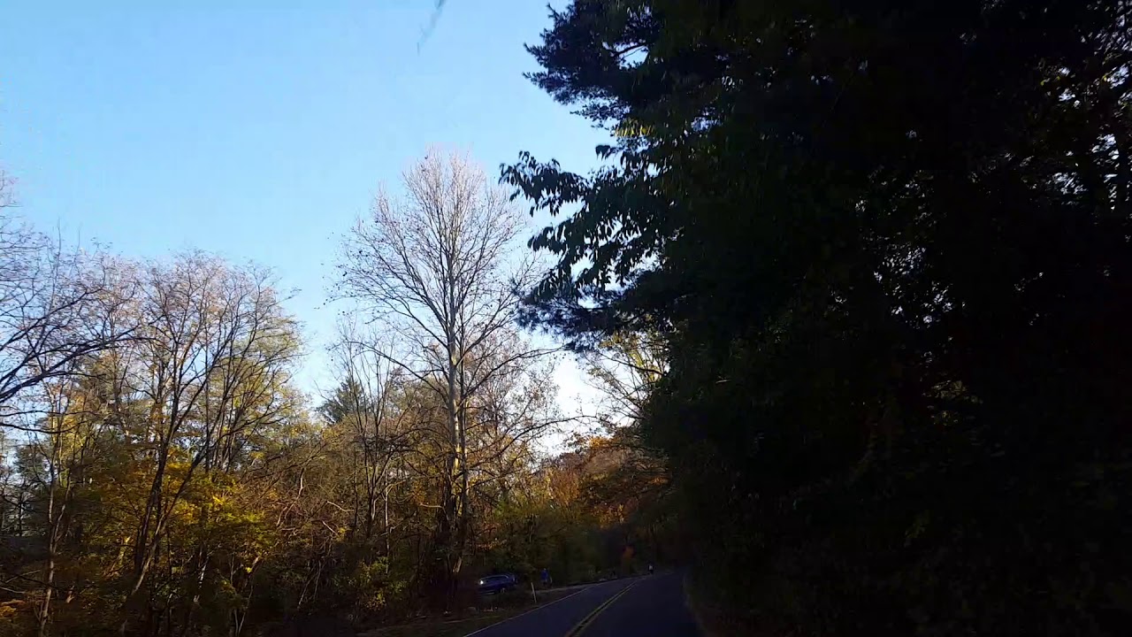 Fall day along Karakung Drive, November 7, 2020