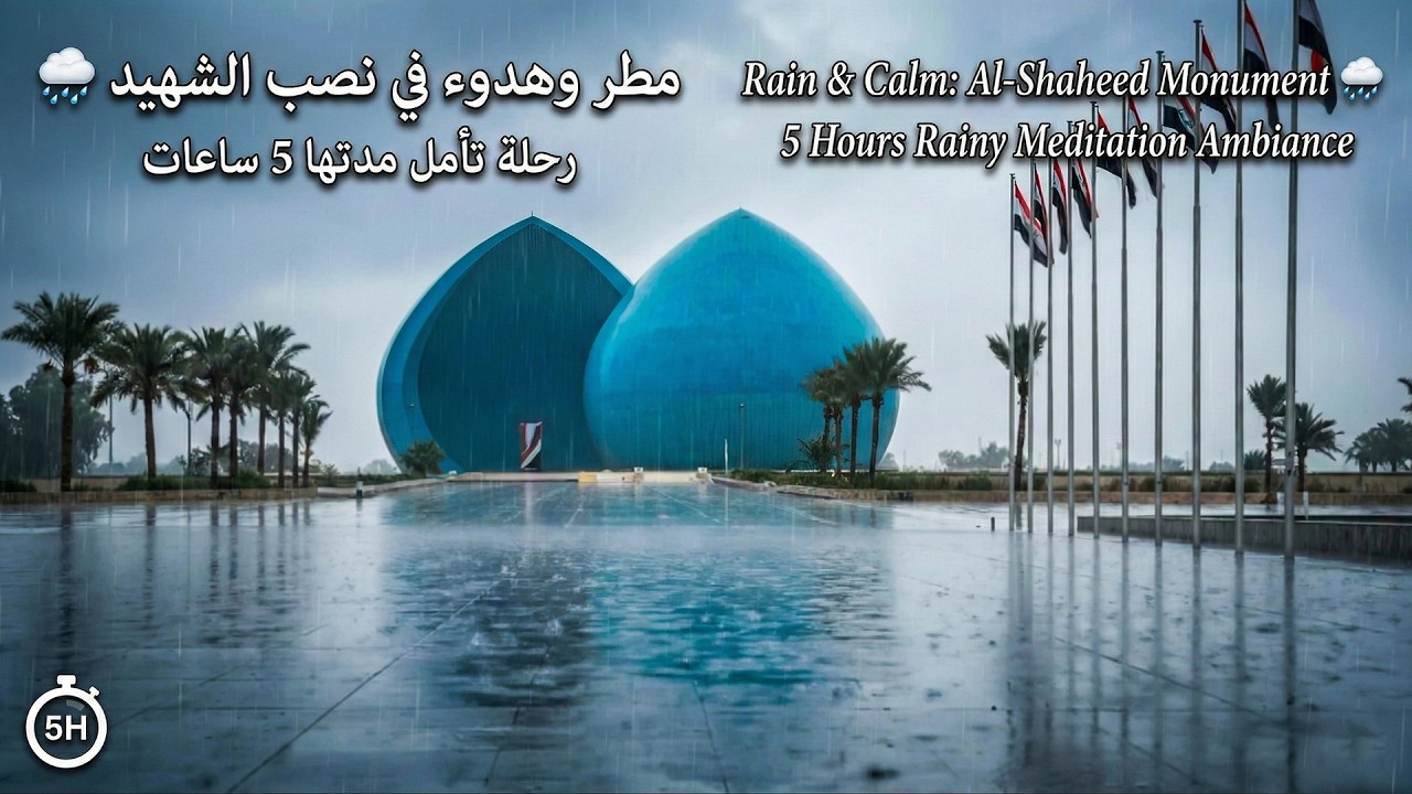 5 ساعات مطر وهدوء في نصب الشهيد 🌧️ أجواء شتوية للتأمل والنوم العميق