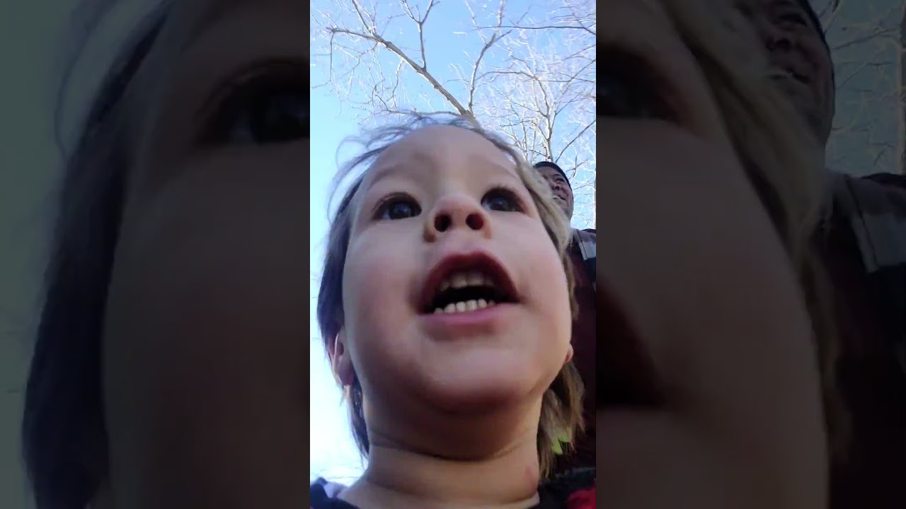 Enzo POV first person view 