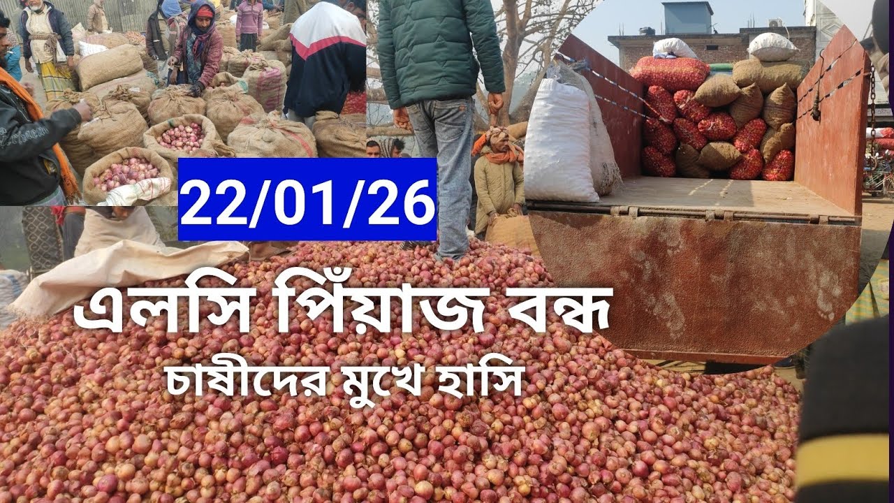 এলসি পিঁয়াজ বন্ধ, কৃষকের মুখে হাসি। Elsie closes the onion, smiles on the farmer's face.22-01-26