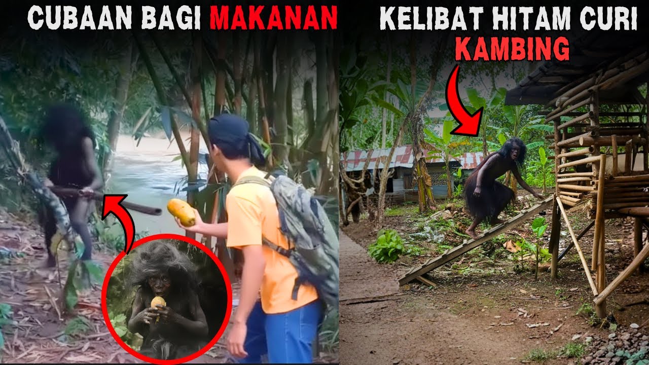 5 Penampakan 