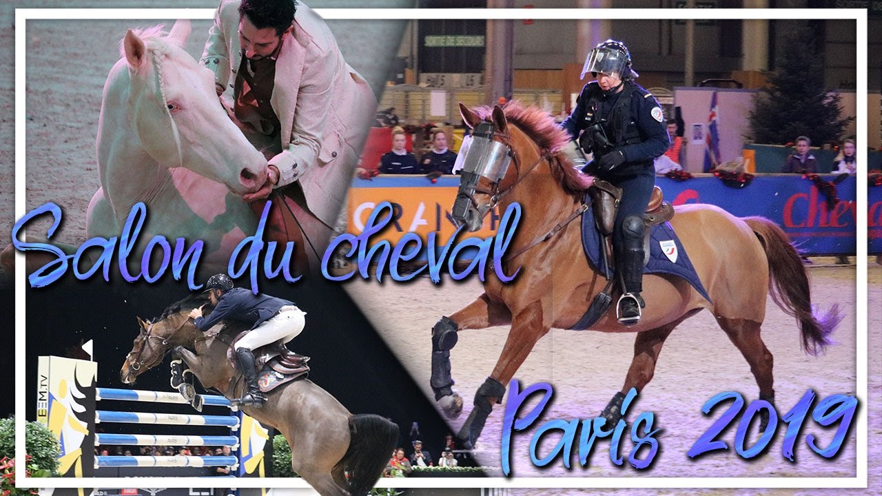 Salon du cheval de Paris 2019 - Il saute 2 mètres !