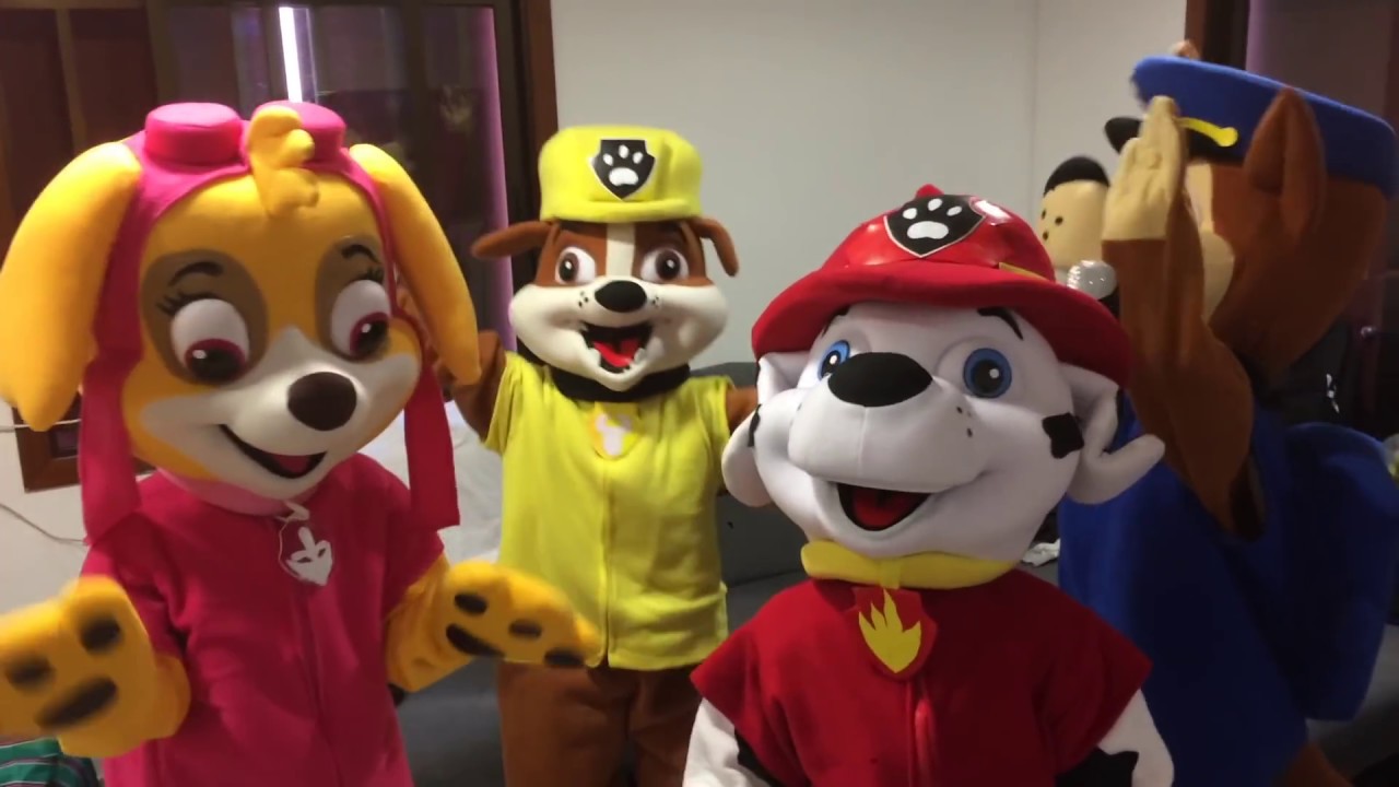 LA Patrulla canina🐶 a patrulha canina , videos infantiles