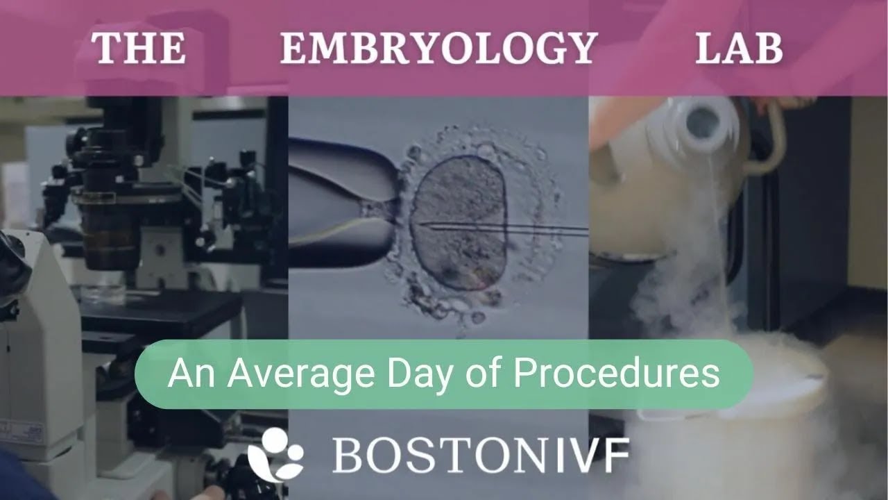An Average Day of Procedures | Boston IVF Embryology Lab