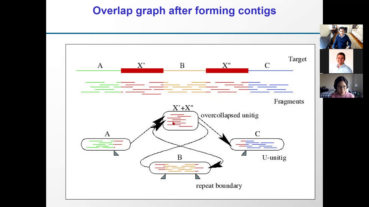 6.047/6.878 Lecture 18 - Genome Evolution (Fall 2020)