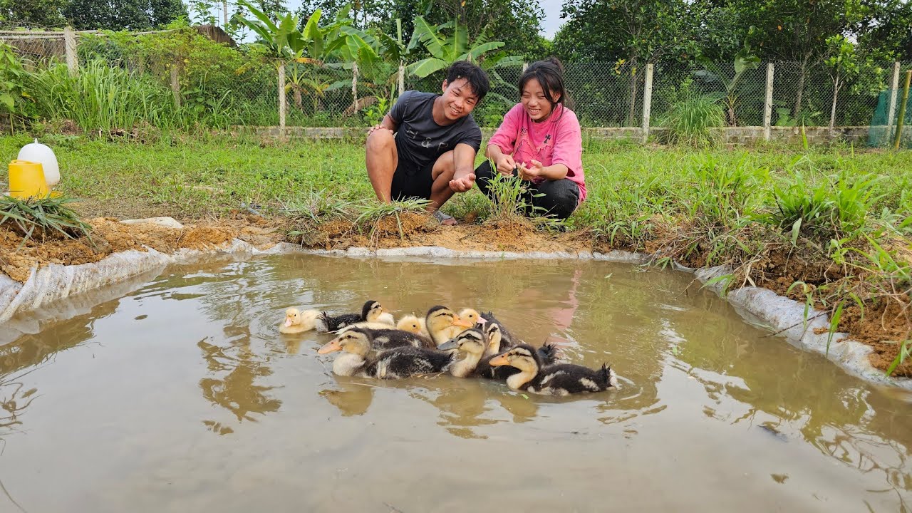 Overcome sadness, build a better future together - Dig a water tank for Ducks