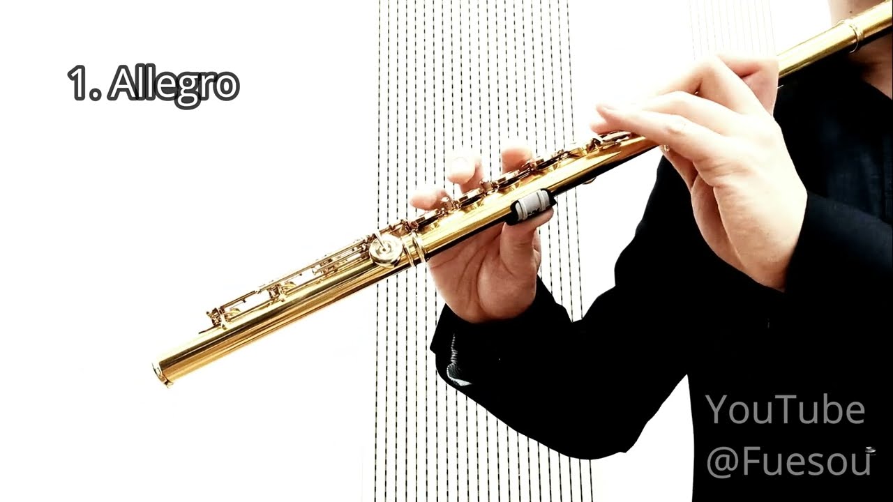 W.A. Mozart Concerto for flute and harp C-major KV 299, arr. for flute and piano