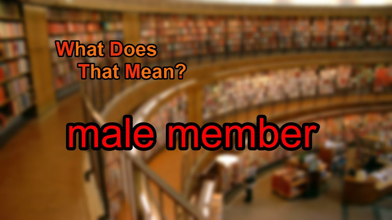 What does male member mean?
