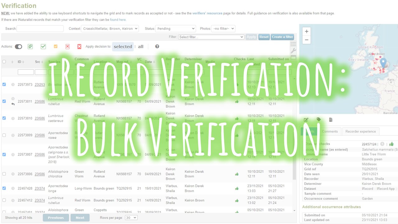 iRecord Verification: Bulk Verification