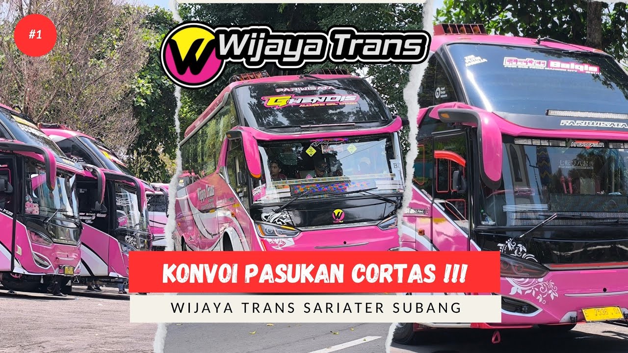 VIRAL BASURI CORONG ATAS !!! Konvoi Bus Artis Wijaya Trans 4 Unit Sariater Subang