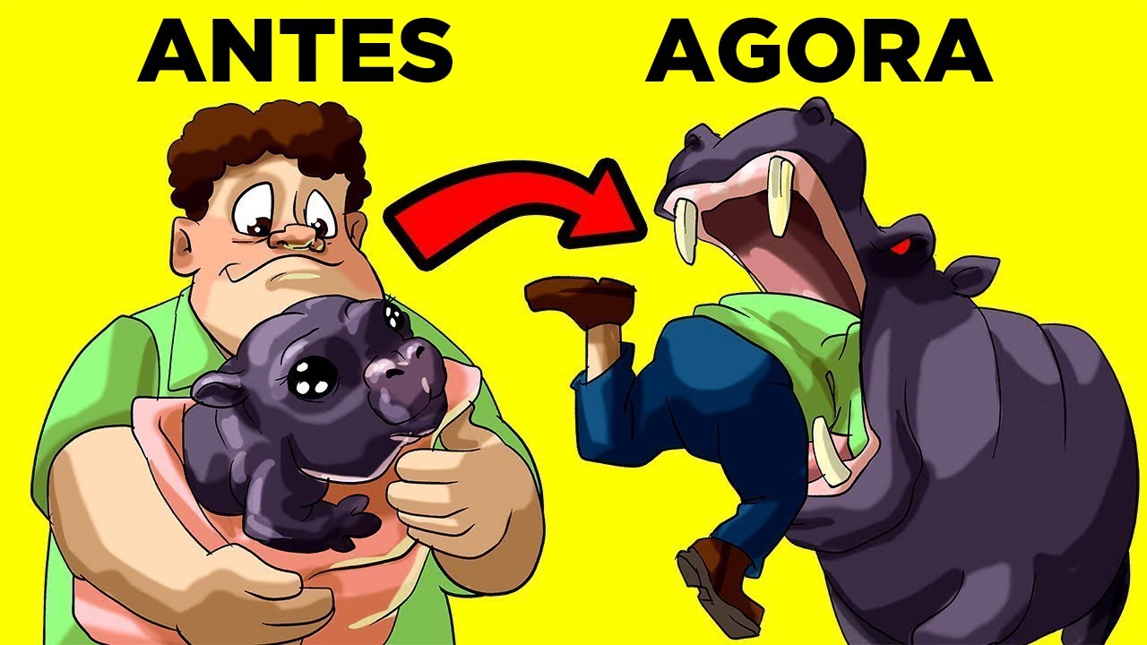Pessoas Que Faleceram De Formas Estúpidas – Vencedores Do Prêmio Darwin Parte 12