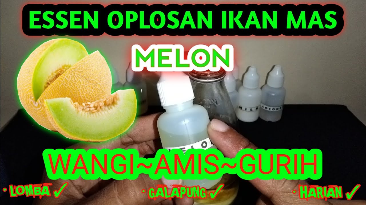 Essen Aroma Melon | Cara Membuat Essen Oplosan Ikan Mas | Fishing Makjos