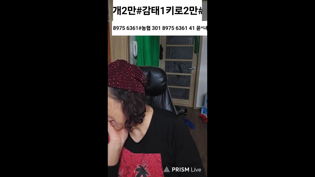 #집으로가자