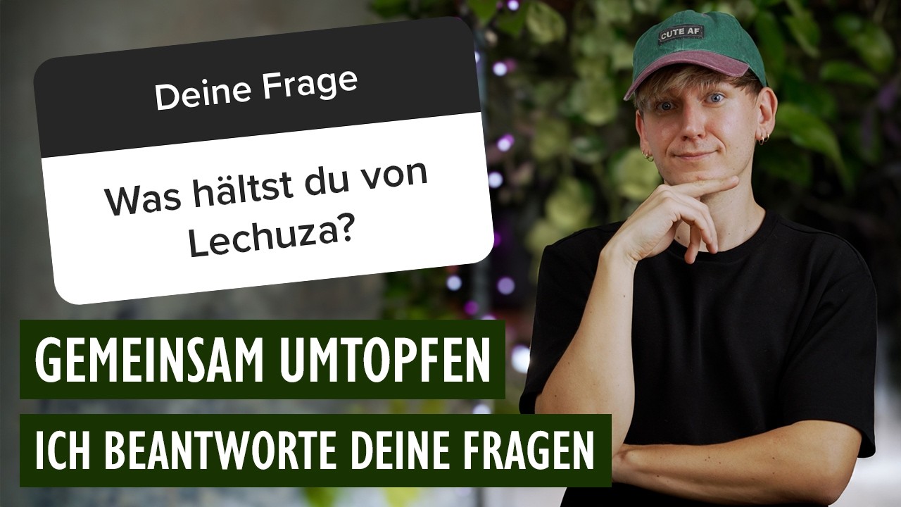 Gemeinsam umtopfen 😱 Meine ungefilterte Meinung zu Lechuza + Updates zur Wishlist und Urlaubsplanung