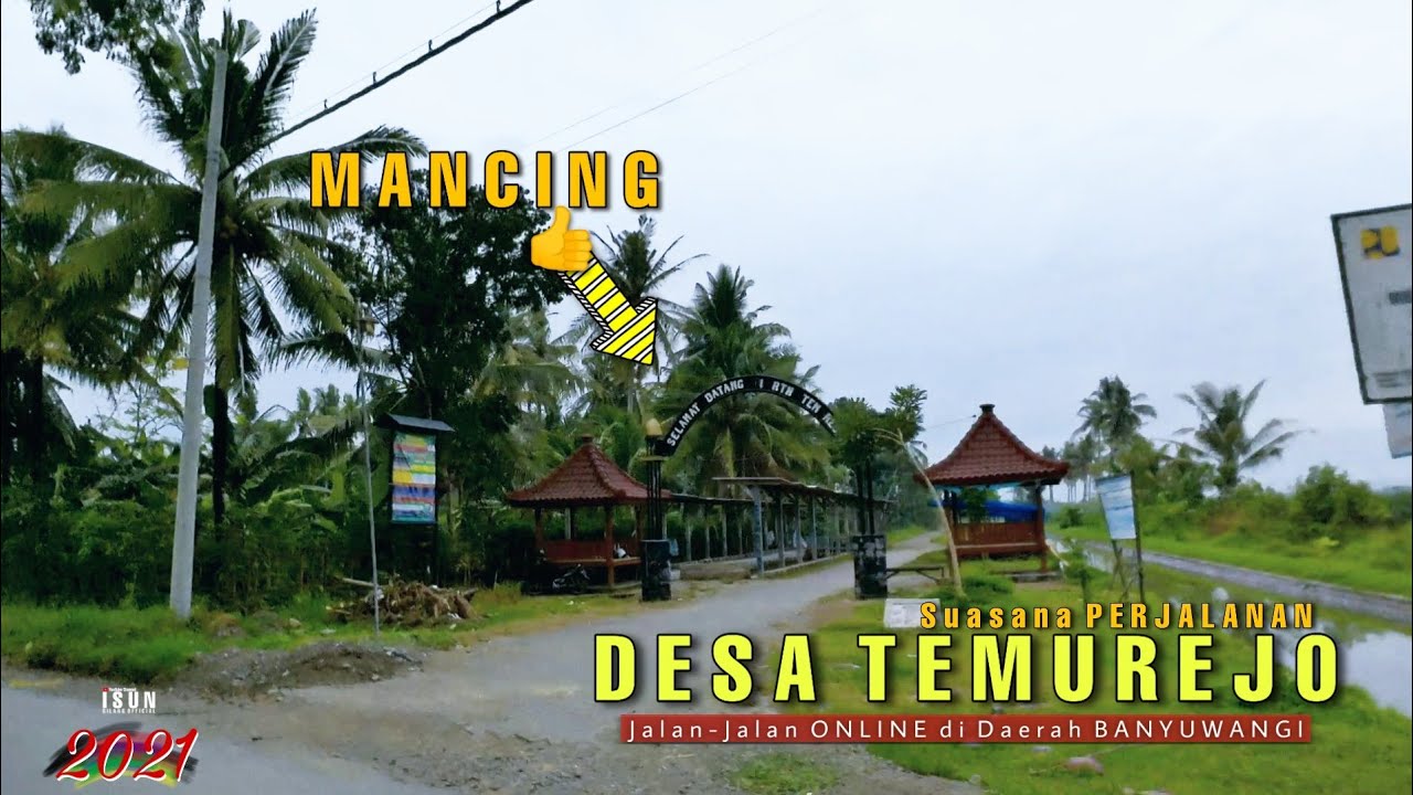 Desa TEMUREJO - Pelebaran Bahu Jalan, Apakah bakal MULUS LEBAR LANCAR ?