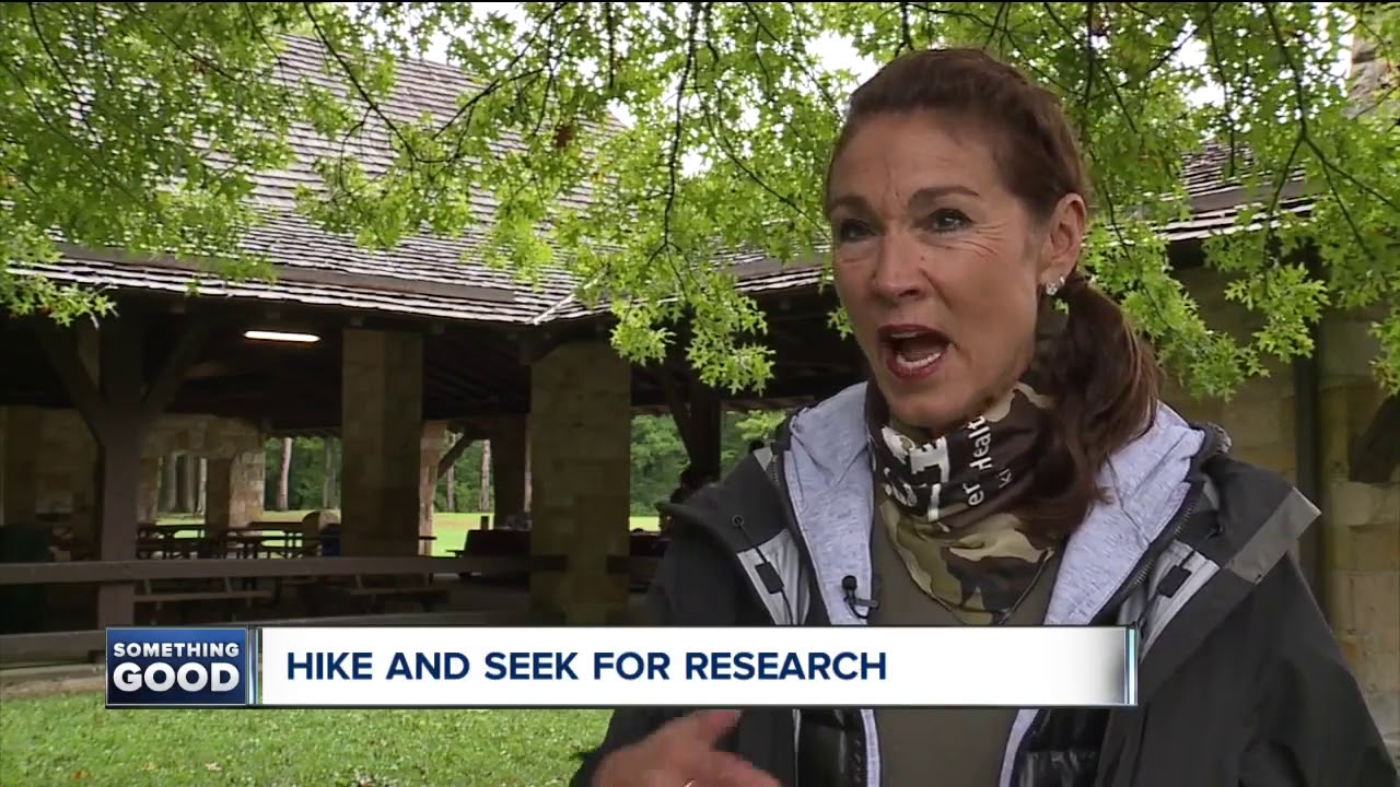Hike and Seek for Research, dozens brave the wet weather to help children