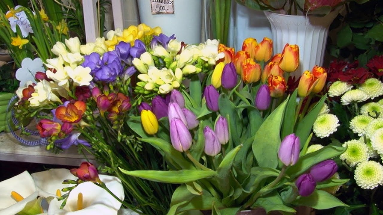 Najlepše cveće za 8. mart