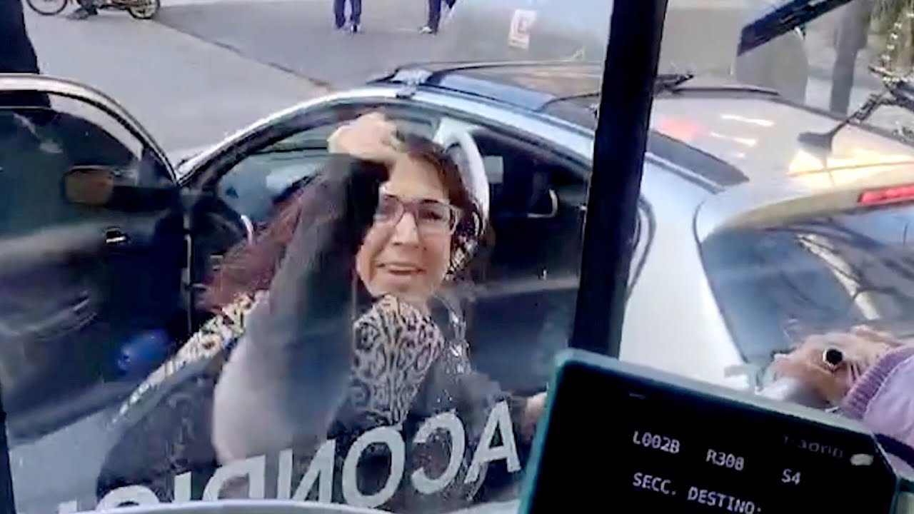 UNA MUJER LE DESTROZÓ LA VENTANA A UN COLECTIVO | ATAQUE DE FURIA EN CABALLITO