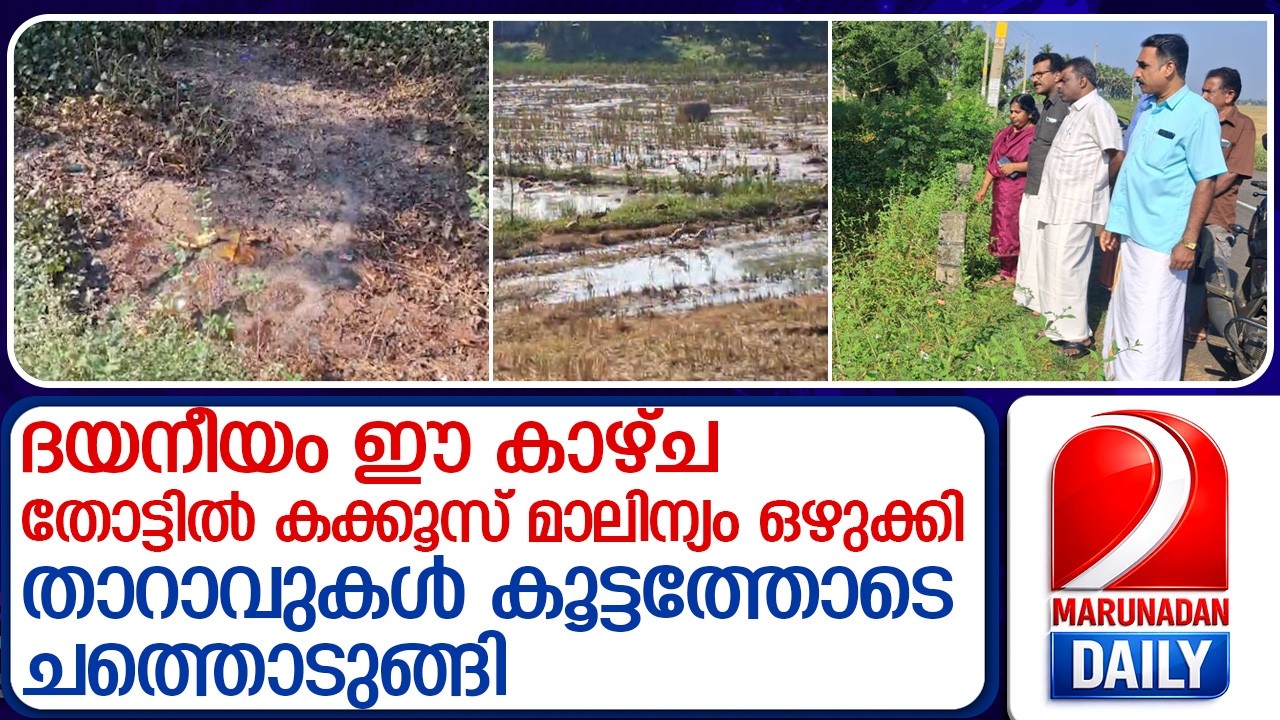തിരുവല്ലയില്‍ താറാവുകള്‍ കൂട്ടത്തോടെ ചത്തു | Thiruvalla