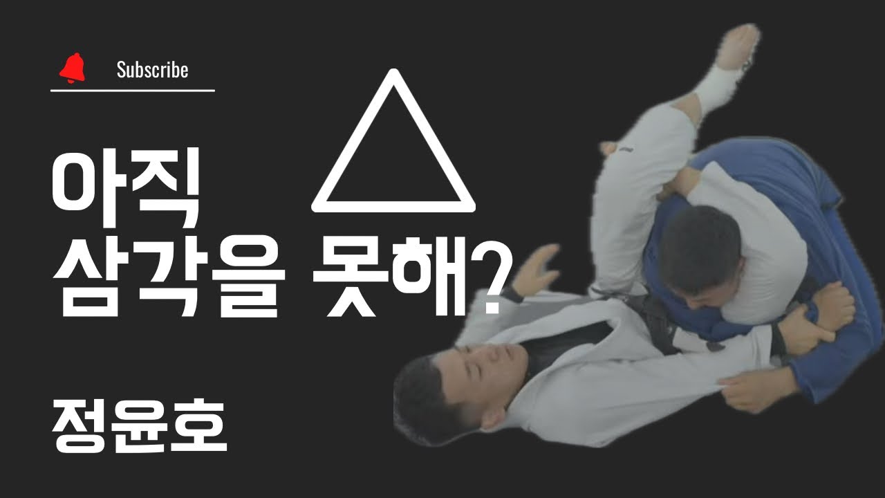 스파이더가드 Triangle choke(정윤호)
