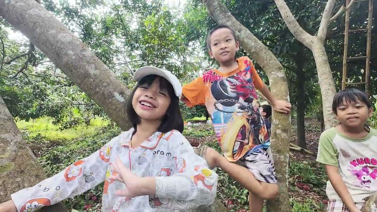 HÈ VỀ VUI CHƠI HÁI TRÁI CÂY THAM QUAN VƯỜN RẪY /Cuộc sống đời thường