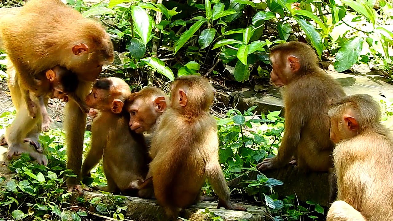Breaking News! Congratulations! NGO returns Libby & baby Rainbow back home - 30-08 -2022