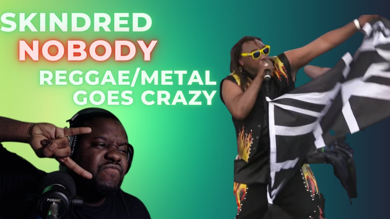 I REALLY REALLY like the reggae/metal mix! Super impressed with Skindred! Nobody Skindred RUN IT