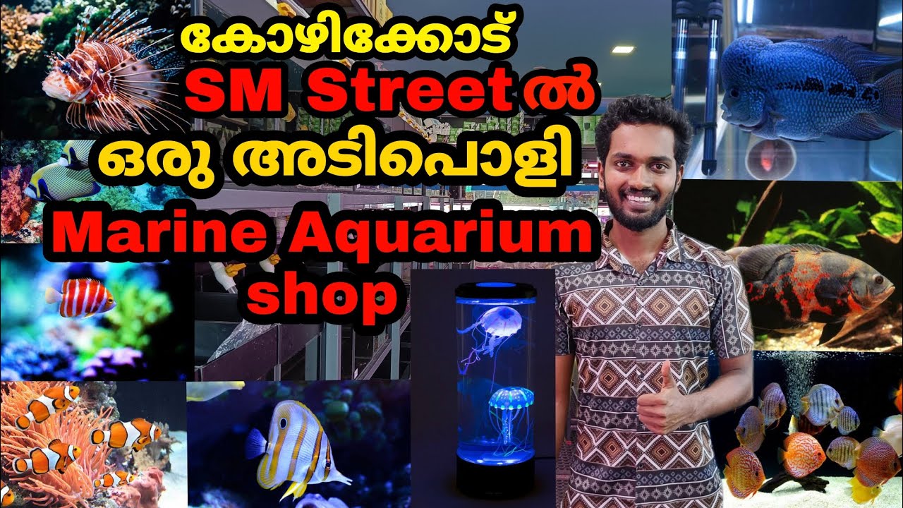 SM Streetലെ ഈ Marine Aquarium shop കാണാതെ ഇനി പോകല്ലേ.. | Aquarium shop Calicut,Sm Street #petshop