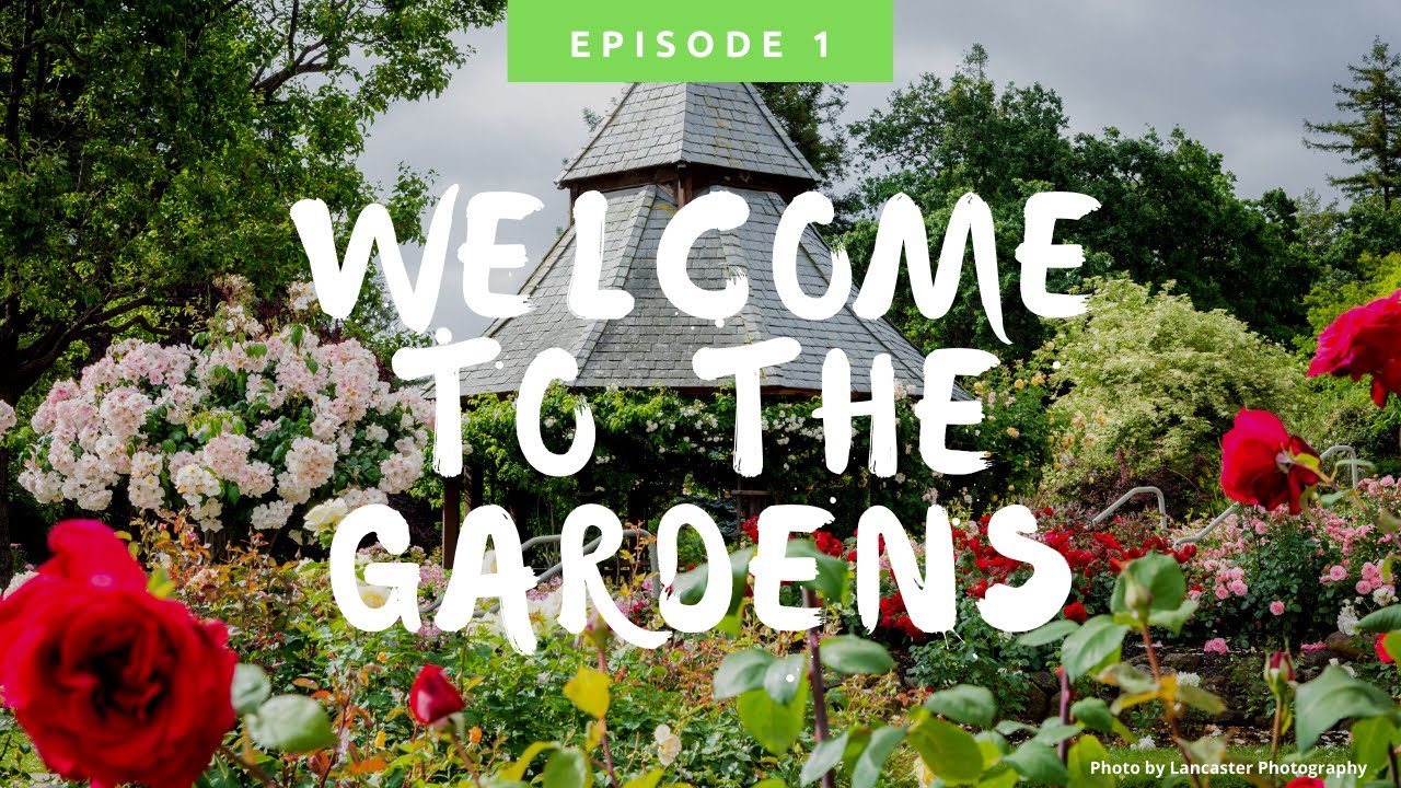 Welcome to The Gardens at Heather Farm in Walnut Creek, CA!