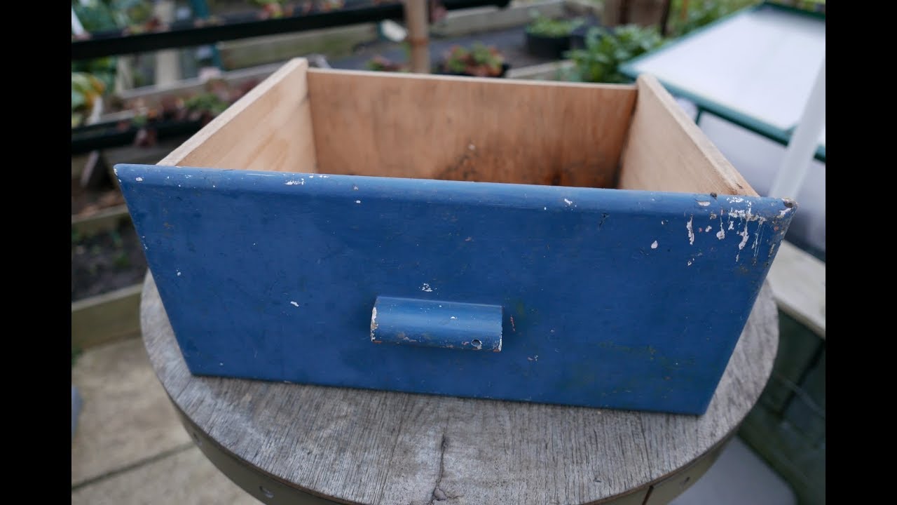 Reuse old drawers and steamer as planters