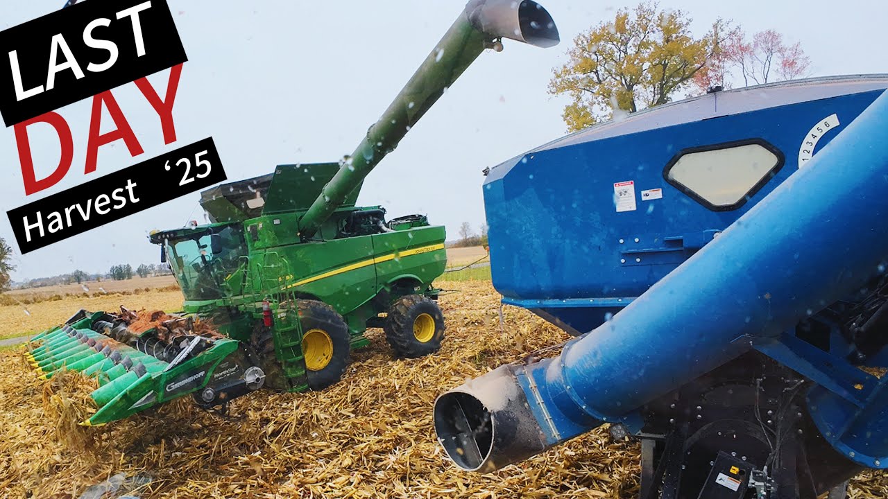 ПОСЛЕДНИЙ ДЕНЬ! ФИНАЛЬНЫЙ РЫВОК ПОД ДОЖДЕМ | УБОРКА 2025 ГОДА | John Deere S780 и CaseIH 340CVT 🏁