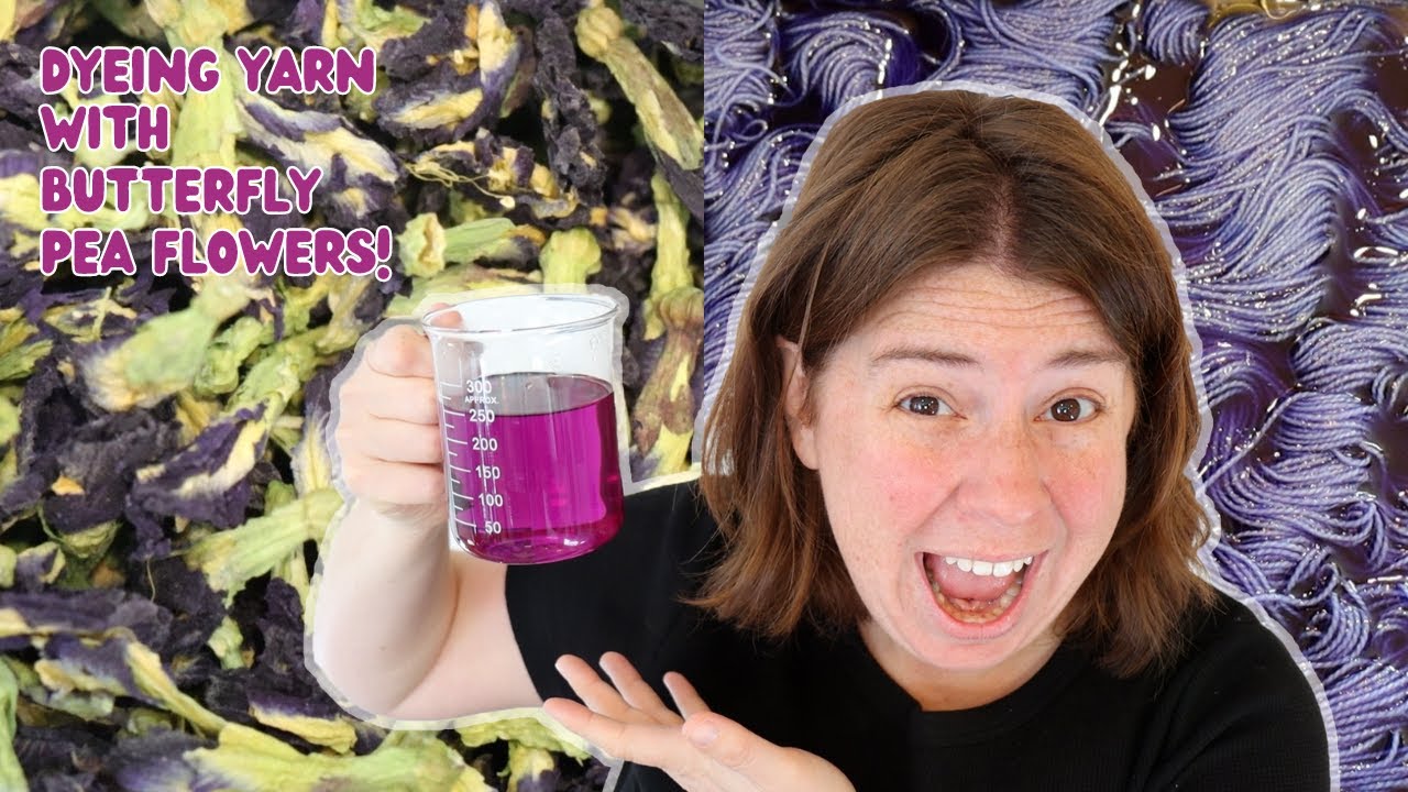 Dyepot Weekly #424 - Dyeing Yarn with Butterfly Pea Flower Tea; pH Sensitive Color Changing Pigment!