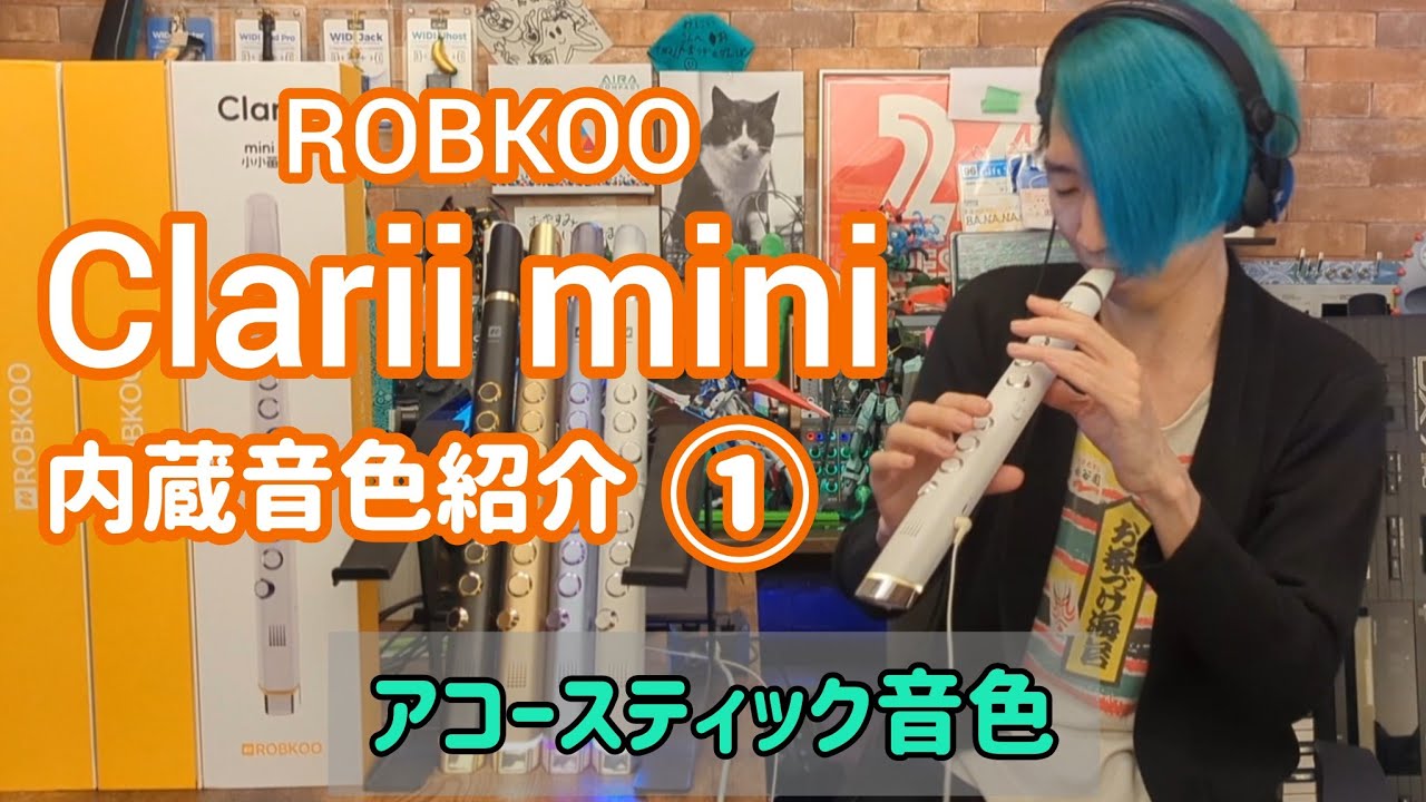 Clarii mini - Robkoo/内蔵音色をそこはかとなくピックアップして紹介するだけの動画① -アコースティック音色編